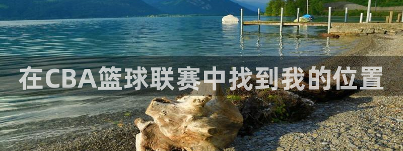 在CBA篮球联赛中找到我的位置