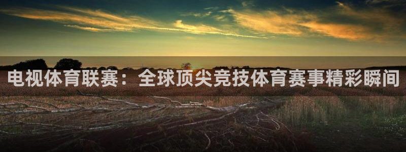 电视体育联赛：全球顶尖竞技体育赛事精彩瞬间