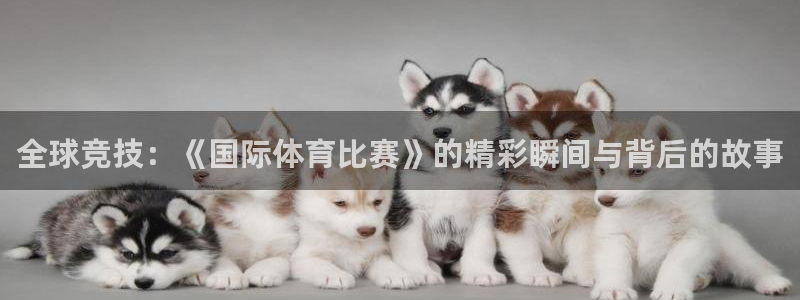 全球竞技：《国际体育比赛》的精彩瞬间与背后的故事
