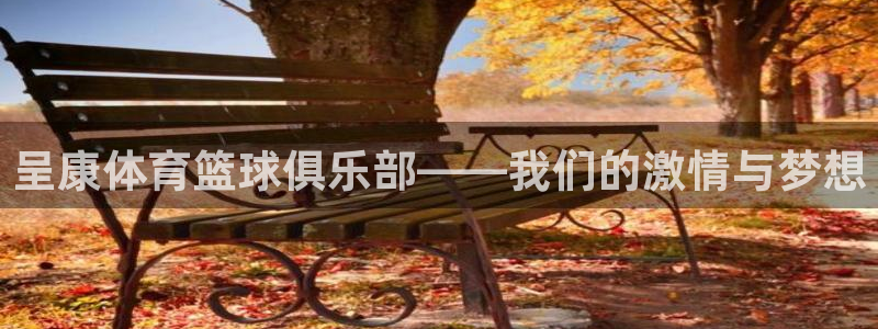 呈康体育篮球俱乐部——我们的激情与梦想