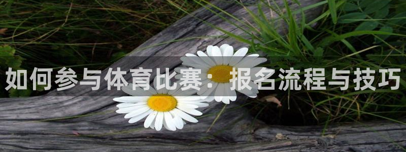 如何参与体育比赛：报名流程与技巧