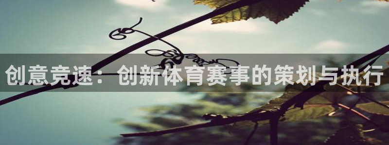 创意竞速：创新体育赛事的策划与执行