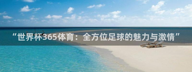 “世界杯365体育：全方位足球的魅力与激
