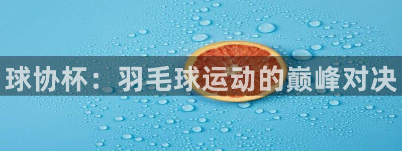 球协杯：羽毛球运动的巅峰对决