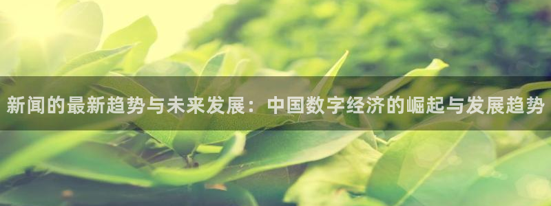 新闻的最新趋势与未来发展：中国数字经济的