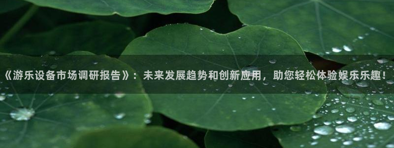 《游乐设备市场调研报告》：未来发展趋势和